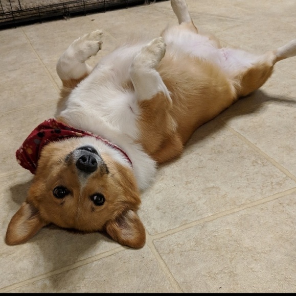 🎉💖 THANKS FOR VISITING MY CLOSET! Please read! - Picture 8 of 8